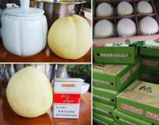 中華壽桃銷(xiāo)售火爆